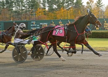 Major Crocker A best in Preferred-Handicap