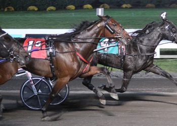 Coverage of Fall Final Four & TVG Finals at Big M