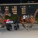 Surprise win in $310,000 Progress Pace