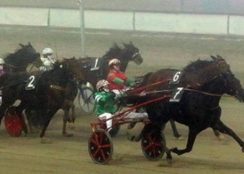 Blackflash Bar Wins 330,000€ PR Unione Europea