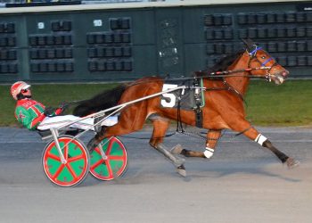 DSBF series kicks off at Dover