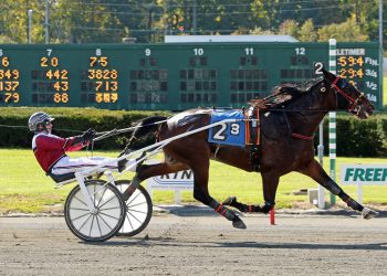 AHDC Trot goes to Tony Beltrami