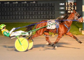 $100,000 DSBF Final an easy sweep