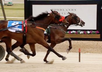 Narrow margin seals the $80,000 Group 1