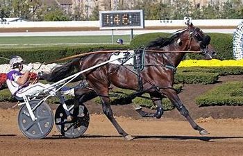 Always B Miki to stand for $15,000 in 2022