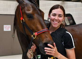 Everything falling into place at the right time