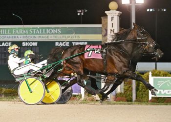 Bulldog Hanover, Pub Crawl shine at Hooiser Park