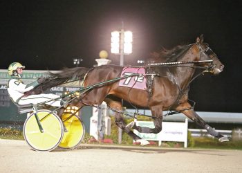 Bulldog Hanover gobbles up Thanksgiving Classic