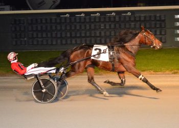 Bella Bellini romps in $148,550 Matron