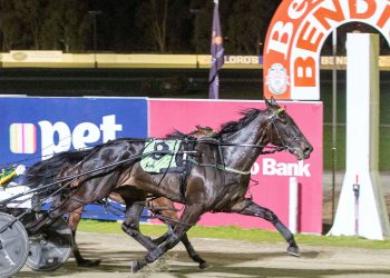 Elmore Cup transferred to Bendigo