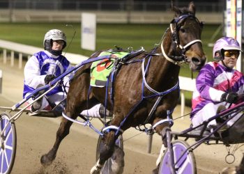 Cult hero posts 35th Mildura win