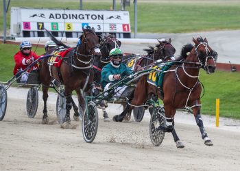Merv and Meg celebrate as Copy That takes NZ Cup