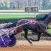 Cantab Fashion to stand stud in Maine