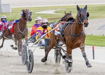 Riding the Wave of success