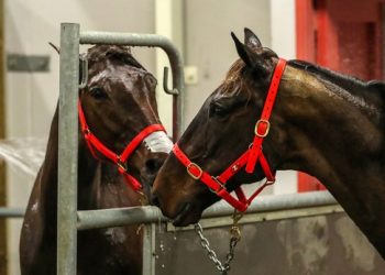 John Dunn talks Cup tactics