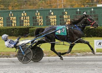 Drinkin Again binges again at Freehold