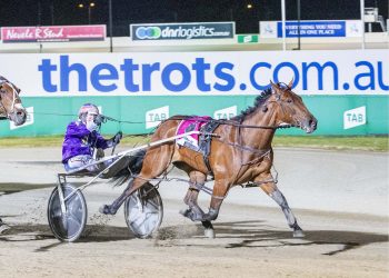 Group 1 hat-trick for Kate