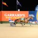 McCarthy stable dominate the first Inter Dominion heats
