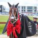 Champion trotter smashes the clock in Group One win