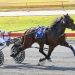 Queensland harness racing wrap 2 Queensland harness racing wrap