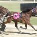 Trotting ranks shaken up
