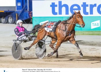 Weekly spotlight on breeding