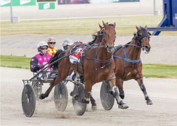 Stewart stable strike first in Breeders Finals