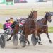 Stewart stable strike first in Breeders Finals