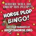 SRF updates for Sunday's event, auction is now open 3 SRF’s Horse Plop Bingo