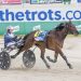 Father Patrick filly dominates Breeders Final