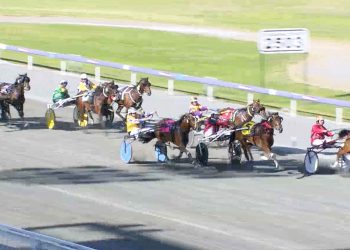 Lady Jadore back in winning list