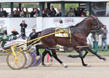 Lou’s Pearlman hopes to end season with Progress win