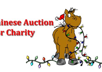MSOA Chinese Auction for Charity coming up
