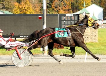 Madhatter Bluechip continues comeback success