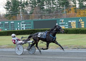 Turkey Trot won by favorite