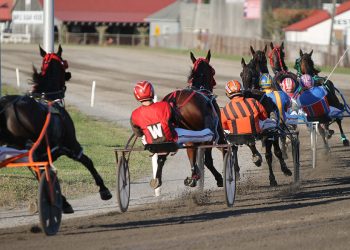 Twin features on Saturday Cumberland card