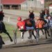Twin features on Saturday Cumberland card