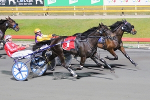 QBRED trotter searching for success in $200,000 Group 1