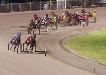 Stewards launch driving inquiry