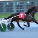 Trotters shine in DSBF opening round