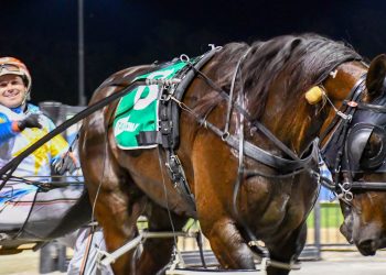 Two Group 1 winners and ready for the next