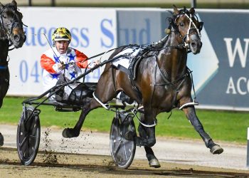 Harmey’s Group crusade