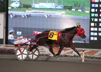 Winbak of Delaware to stand Sports Column