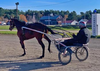 Winter Festival race meet starts Wednesday