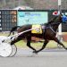 Finalists decided for Hoffman Pacing Series 2 Finalists decided for Hoffman Pacing Series