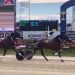 Champion trotter smashes the clock in Group One win