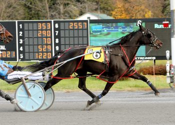 Surreal Feeling has been dominant force at The Spa