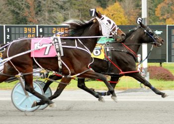 Surreal Feeling takes another Open