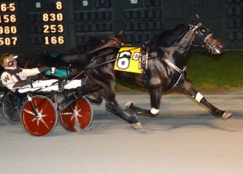 $156,300 Matron a homer for Swingforthefences