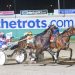 Tango dances his way to feature success